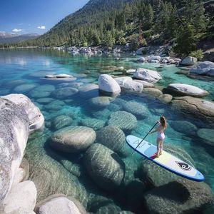 Meet your Posher, Vincent